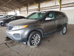 Salvage cars for sale at Phoenix, AZ auction: 2011 KIA Sorento Base