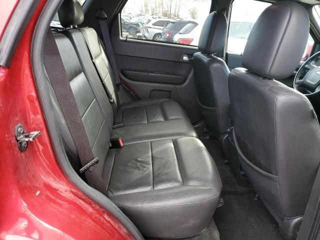 2009 Ford Escape Limited