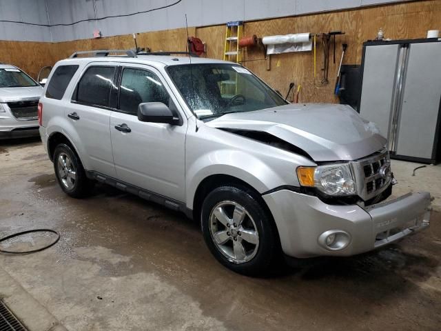 2011 Ford Escape XLT