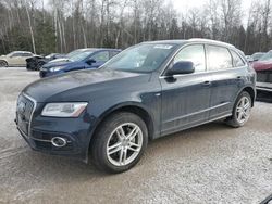 Salvage cars for sale from Copart Cookstown, ON: 2013 Audi Q5 Premium