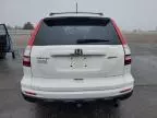 2010 Honda CR-V EXL