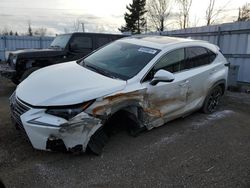 Salvage cars for sale from Copart Bowmanville, ON: 2019 Lexus NX 300 Base