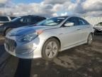 2013 Hyundai Sonata Hybrid