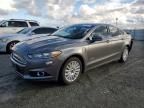 2014 Ford Fusion Titanium Phev