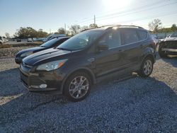 Salvage cars for sale at Riverview, FL auction: 2013 Ford Escape SE