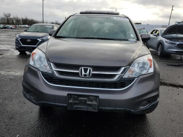 2010 Honda CR-V EXL