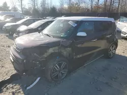 KIA Vehiculos salvage en venta: 2017 KIA Soul +