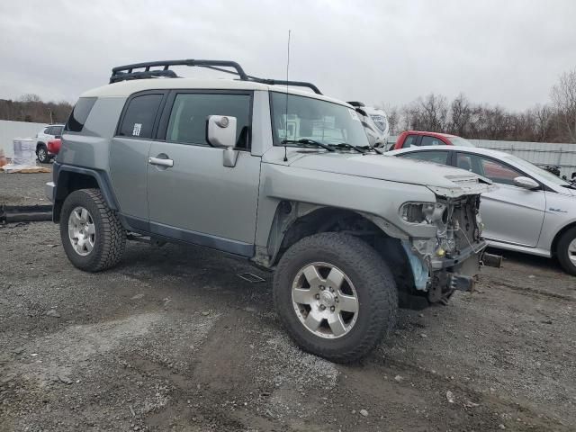 2010 Toyota FJ Cruiser