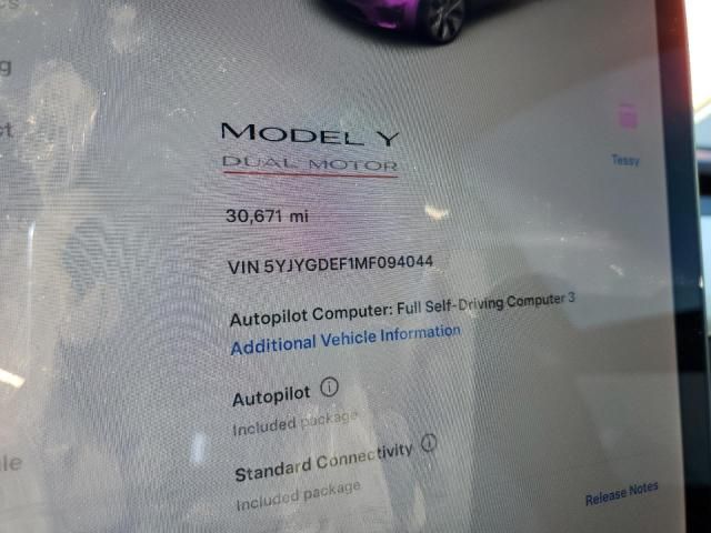 2021 Tesla Model Y