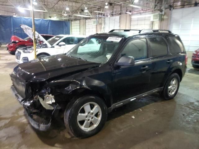 2009 Ford Escape XLT