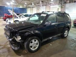 Salvage Cars with No Bids Yet For Sale at auction: 2009 Ford Escape XLT