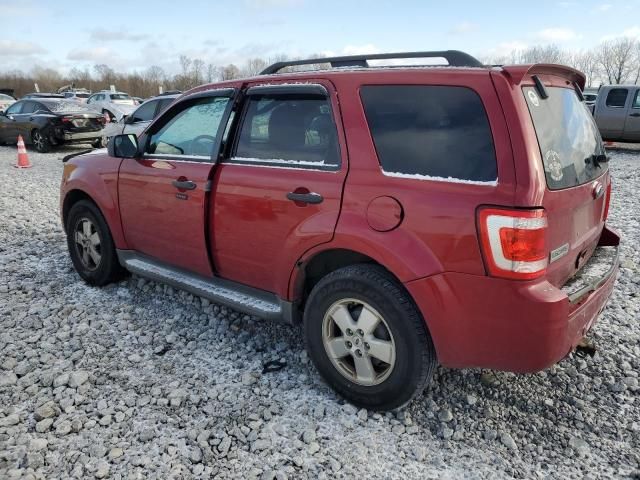 2010 Ford Escape XLT