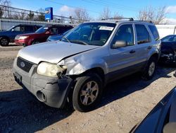 Salvage cars for sale at Walton, KY auction: 2005 Ford Escape XLT