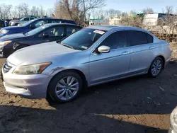 Salvage cars for sale at Baltimore, MD auction: 2011 Honda Accord EXL