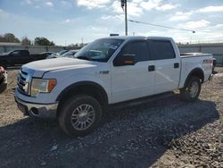 Ford salvage cars for sale: 2011 Ford F150 Supercrew