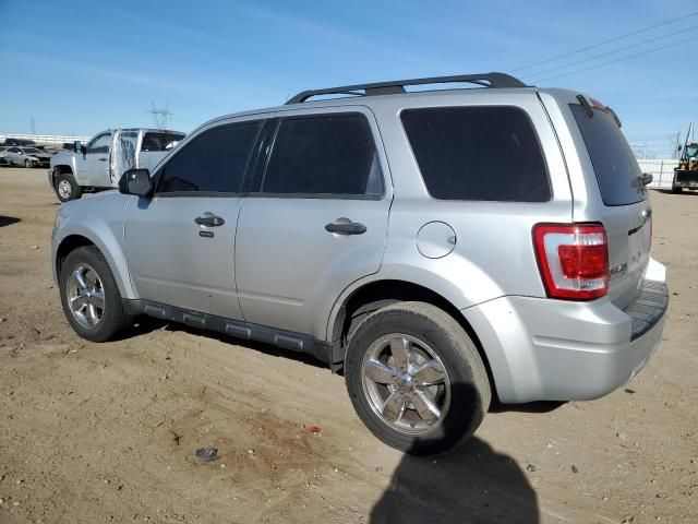 2010 Ford Escape XLT