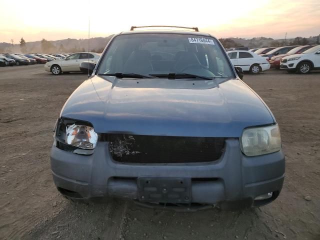 2001 Ford Escape XLT