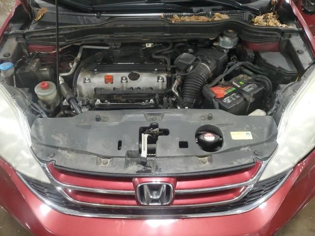 2010 Honda CR-V EXL