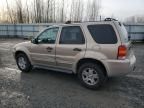 2007 Ford Escape XLT