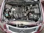 2008 Honda Accord LXP