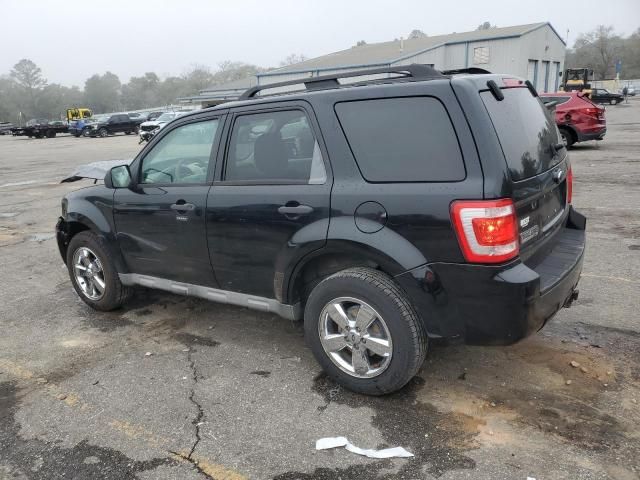 2009 Ford Escape XLT