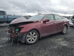 Salvage cars for sale at Eugene, OR auction: 2008 Lexus ES 350