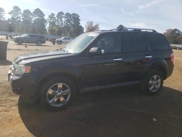 2012 Ford Escape Limited