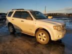 2008 Ford Escape XLT