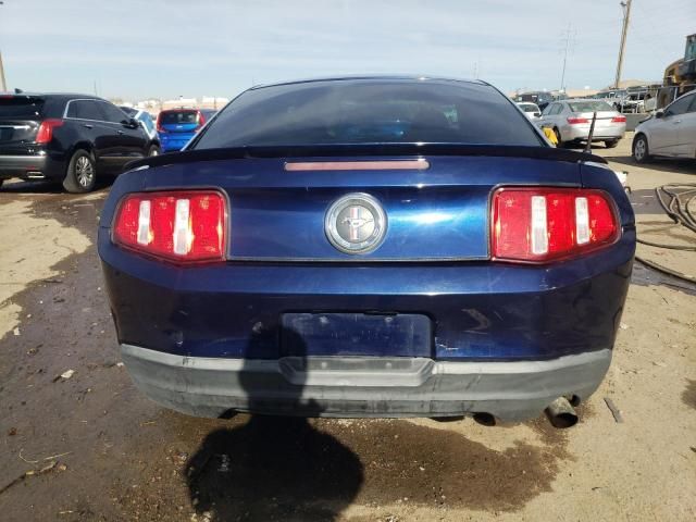 2010 Ford Mustang