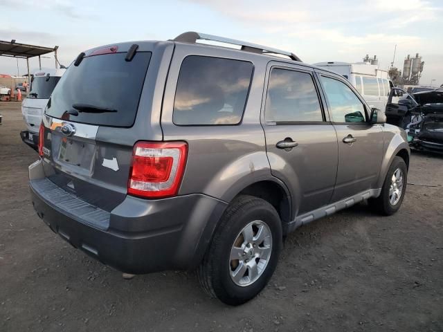 2011 Ford Escape Limited