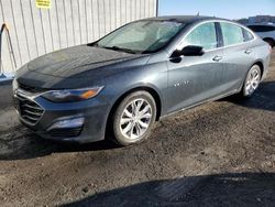 Chevrolet salvage cars for sale: 2021 Chevrolet Malibu LT