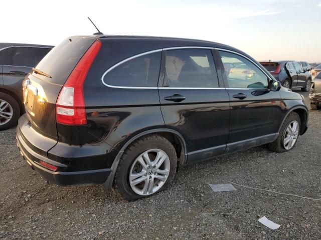 2010 Honda CR-V EXL