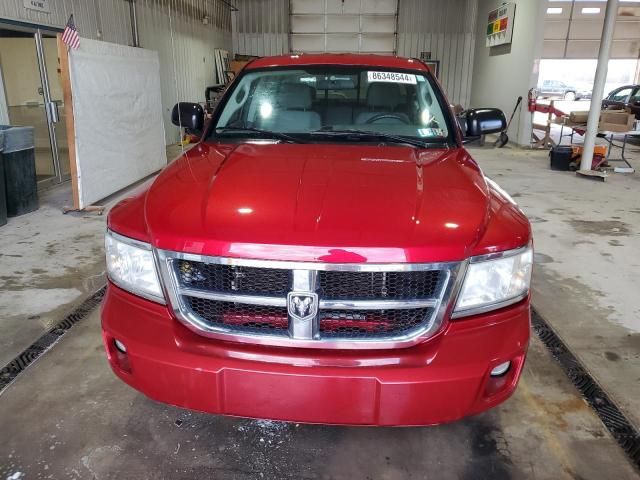 2008 Dodge Dakota Quad SLT