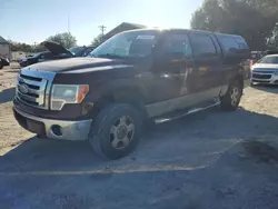 Salvage cars for sale from Copart Midway, FL: 2009 Ford F150 Supercrew