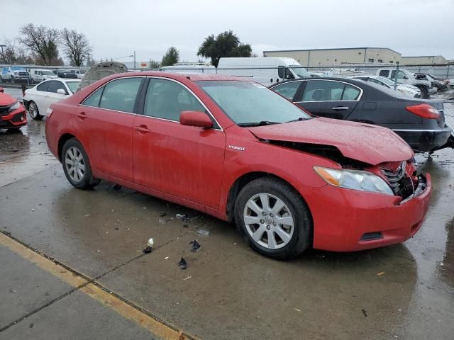 2007 Toyota Camry Hybrid