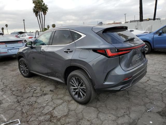 2023 Lexus NX 350