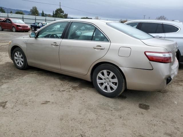 2008 Toyota Camry Hybrid