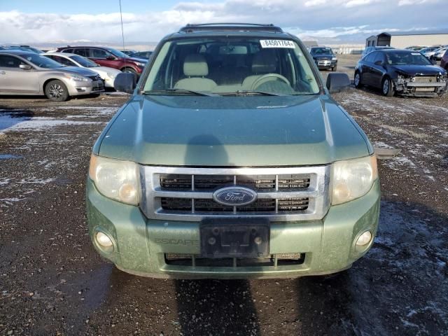 2008 Ford Escape XLT