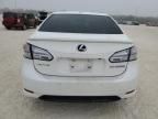 2010 Lexus HS 250H