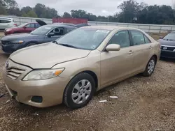 Salvage cars for sale at Theodore, AL auction: 2011 Toyota Camry Base