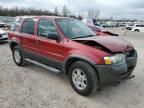 2006 Ford Escape XLT