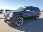 2013 Cadillac Escalade Premium