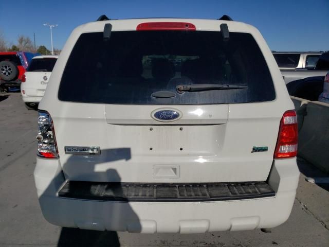 2011 Ford Escape XLT