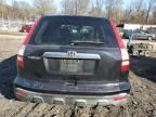 2007 Honda CR-V EXL