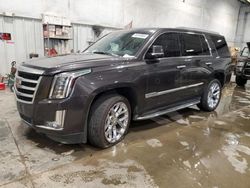 Salvage cars for sale at Milwaukee, WI auction: 2016 Cadillac Escalade Luxury