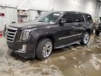 2016 Cadillac Escalade Luxury