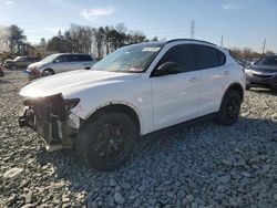 Salvage cars for sale at Mebane, NC auction: 2019 Alfa Romeo Stelvio