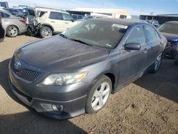 2011 Toyota Camry Base en venta en Brighton, CO