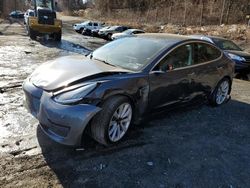 Tesla Model 3 salvage cars for sale: 2019 Tesla Model 3