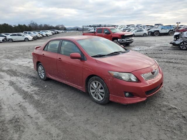 2010 Toyota Corolla Base